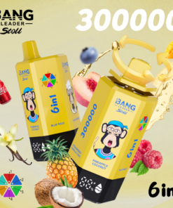 Bang Leader stoll 300K Puffs 6IN1