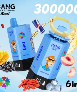 Alternative view of Bang Leader stoll 300K Puffs 6IN1